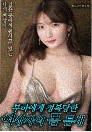 观赏路线指南中版本确认步骤的界面示意